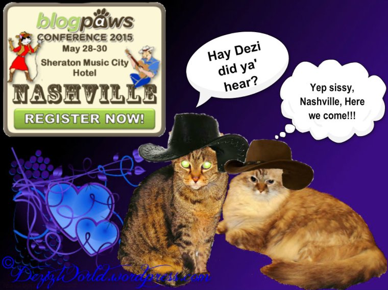 dw DnL Blogpaws ready