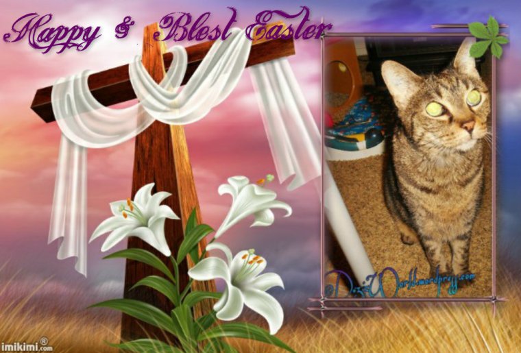 dw Lexi Blest Easter