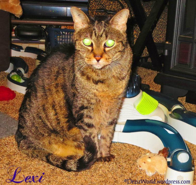 dw Lexi sits pretty1