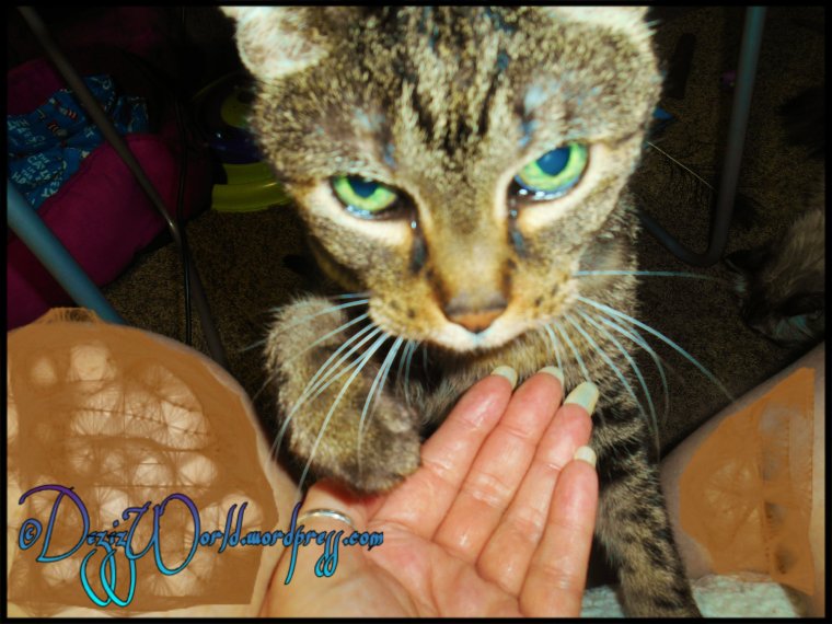 dw Lexi up close cute