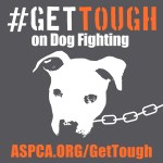 gettough_digital-sticker