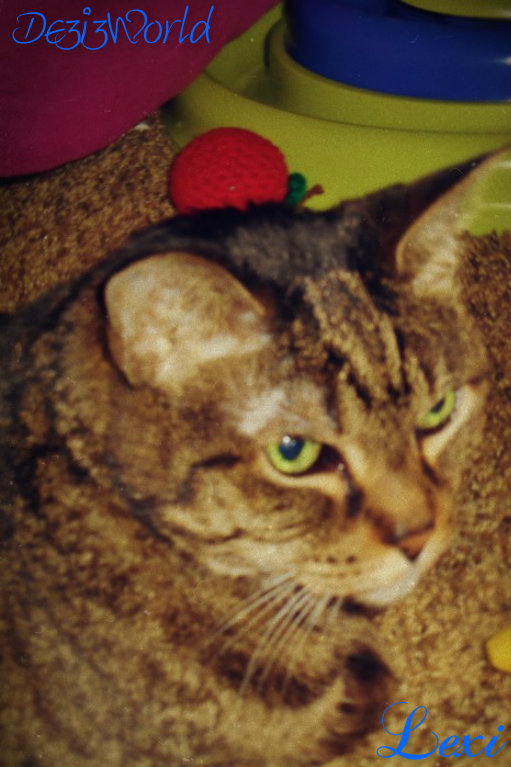 0dw Lexi film effect pf