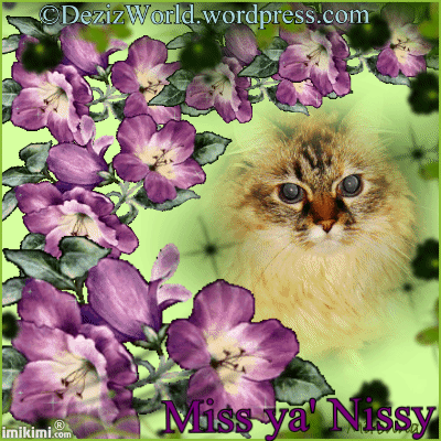 Dezi-NissyMissing You... - 2HEoW-1f5 - normal