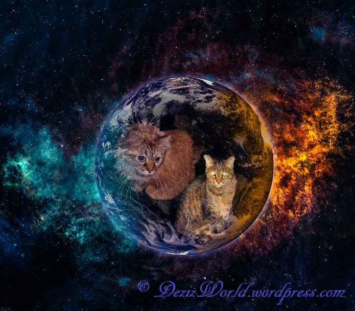 dw D n L Fire and Ice