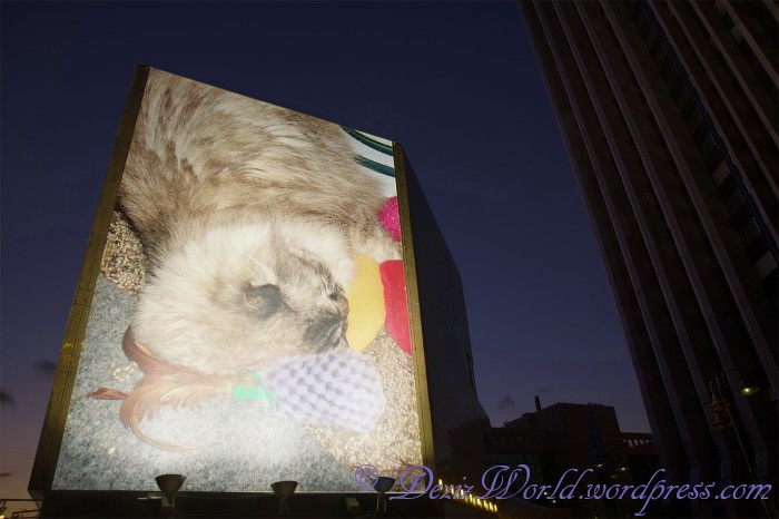 dw Dezi evening billboard