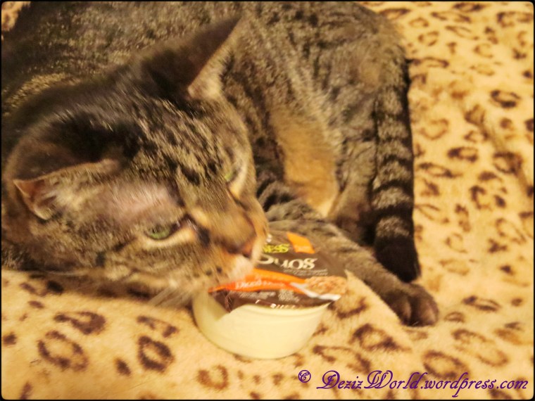 dw Lexi1495 truffles