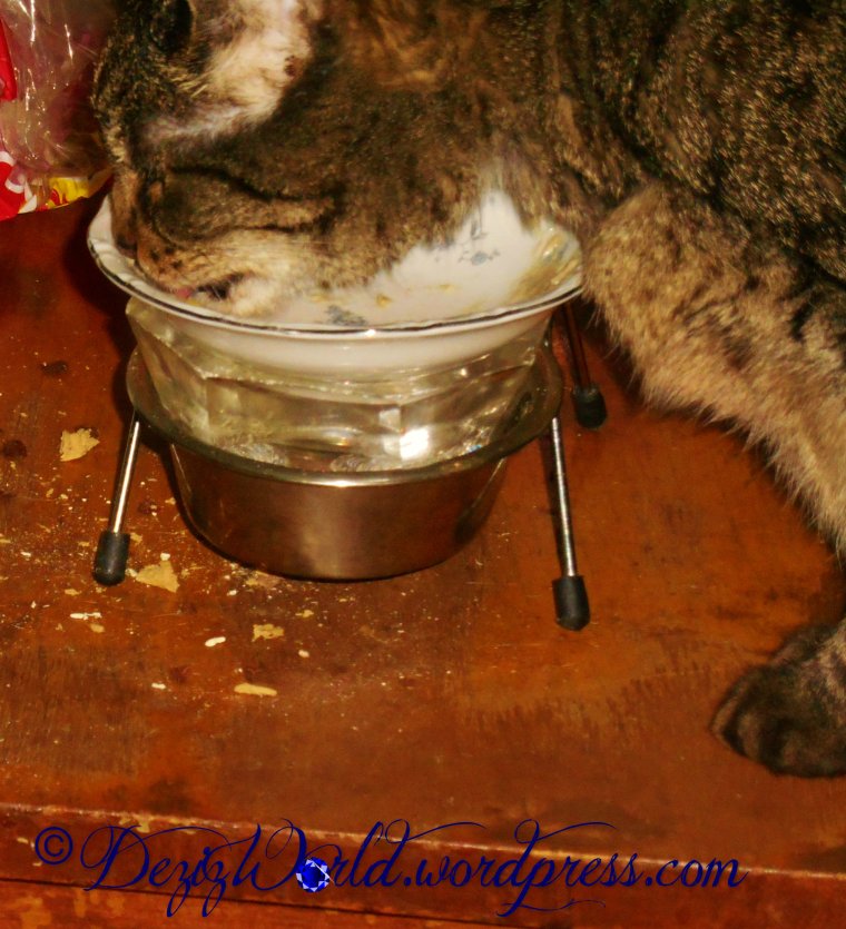 dw Lexi4067 all gone