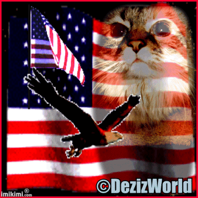 Dezi American Flag! - 2HEoW-1fs - normal