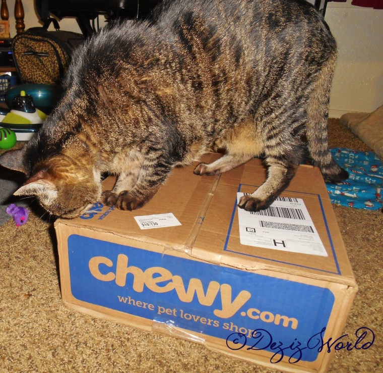 It's a Chewy box. I'z wunner whatz in it?