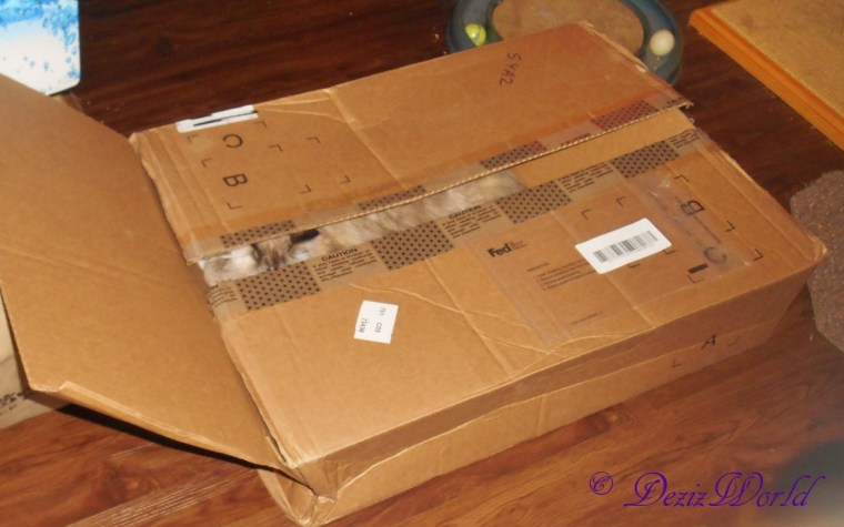 You can't see me? Ssssh meez hidin' fwum sissy.