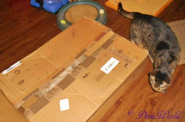 Hmmmmm Wherez dat Dezi at?