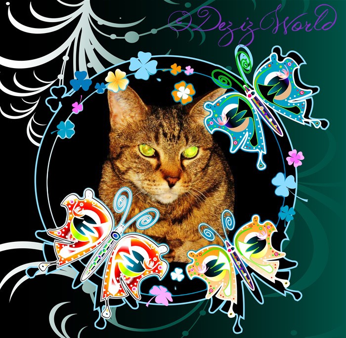 dw Lexiabstractflowers