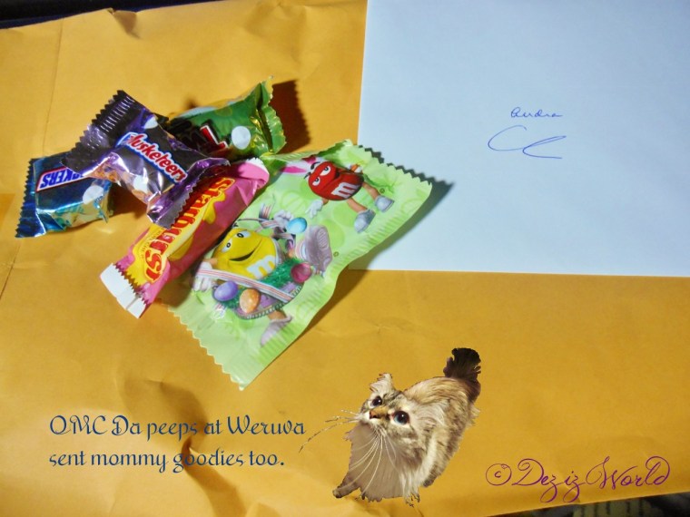 Oh Meow look'it what da peeps fwum Weruva sent mommy.