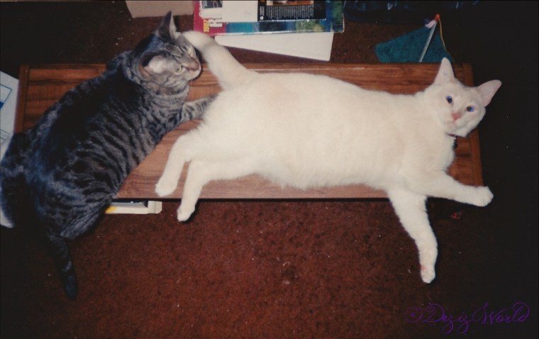 dwLexi and Lucky-- (1280x806)