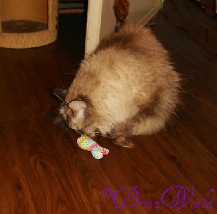 Fank you awnty Ellen. Weez just luv yous made wiff luv toys.