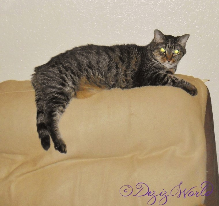 It'z anudder twitter chat. Good luck youz two. MOL