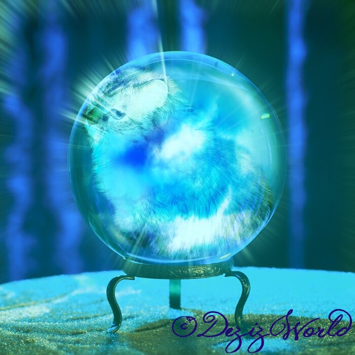 I'z lubz youz Dezi. And I'z fink youz look pawzum in terkoyz.