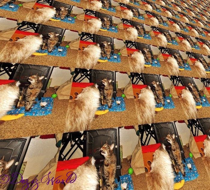 dw-spDnL tiledperspective