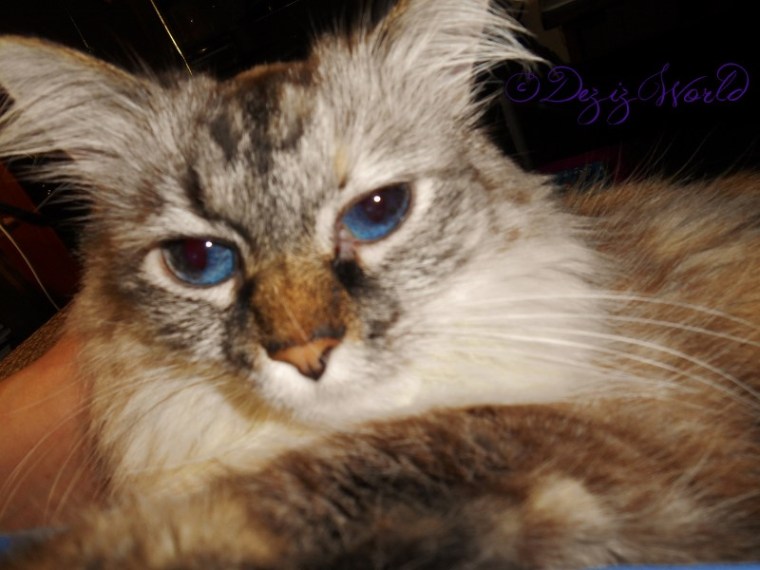 Pull up a chair and let me tell ya' a stowry.