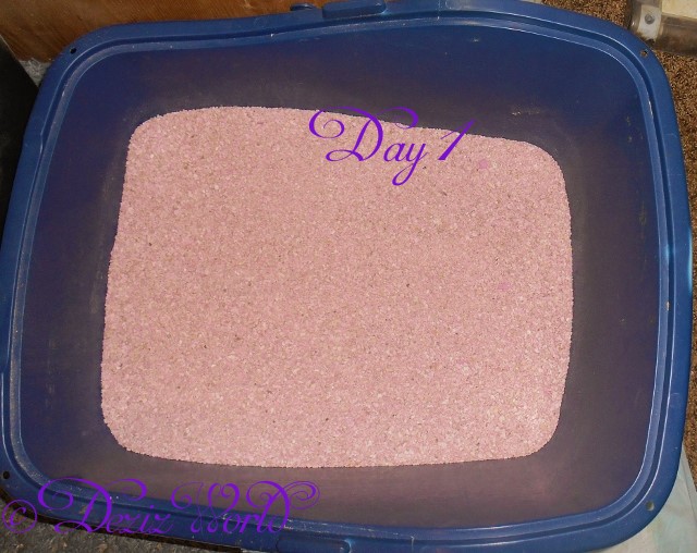 This is da box on day 1 of trials.