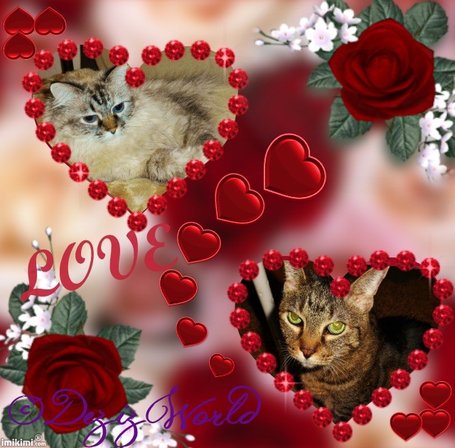 dw-DnL Love - 2HEoW-1el - normal