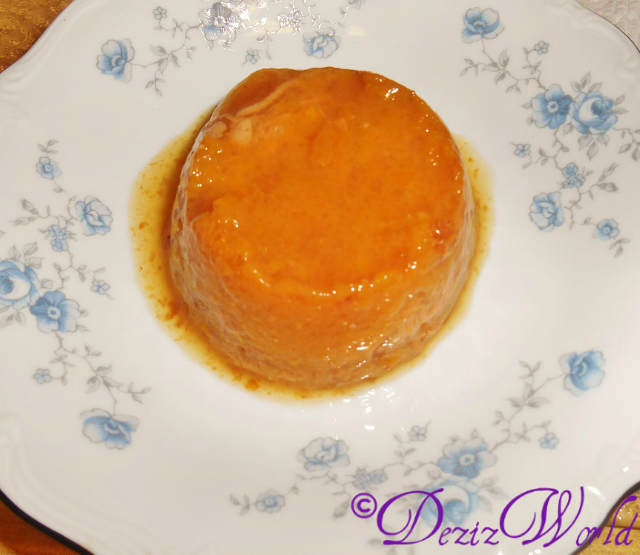 dw-DSCN5161 (640x555)