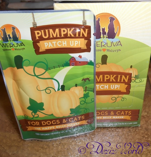 dw-DSCN5171 (616x640)