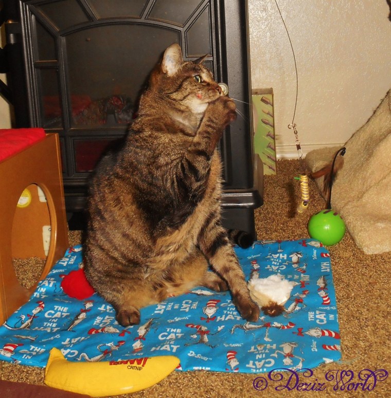 dw-LexiDSCN4014 (1256x1280)