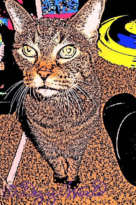 Faynkz fur youz kuntinyude purrayerz.