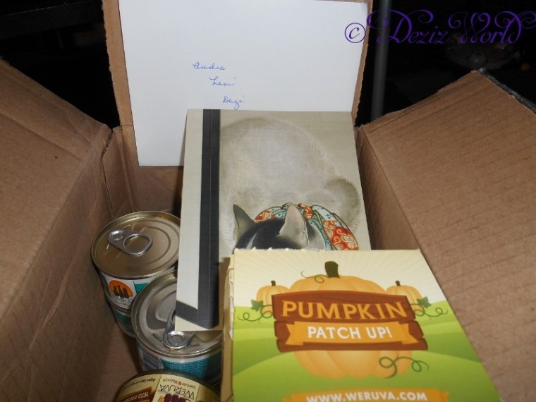 dw-WeruvaDSCN5143 (800x600)