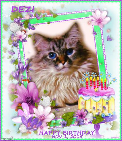 Dezi birthday card frame with cake and purple daisies from Pipo and Minko of Webeessiamese
