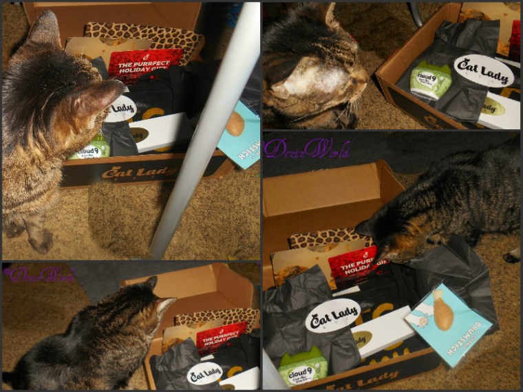 #Cat Lady box collage with Lexi looking into box, an climbing into box