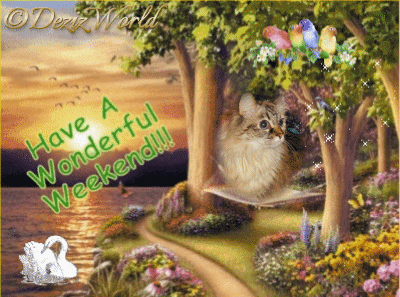 Dezi in beach scene, have a wonderful weekend