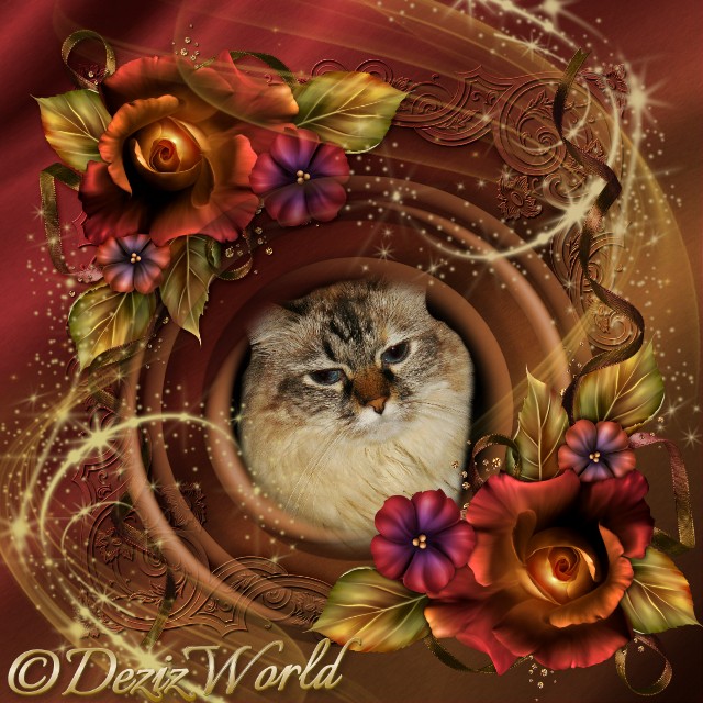 Dezi in Autumn Rose frame