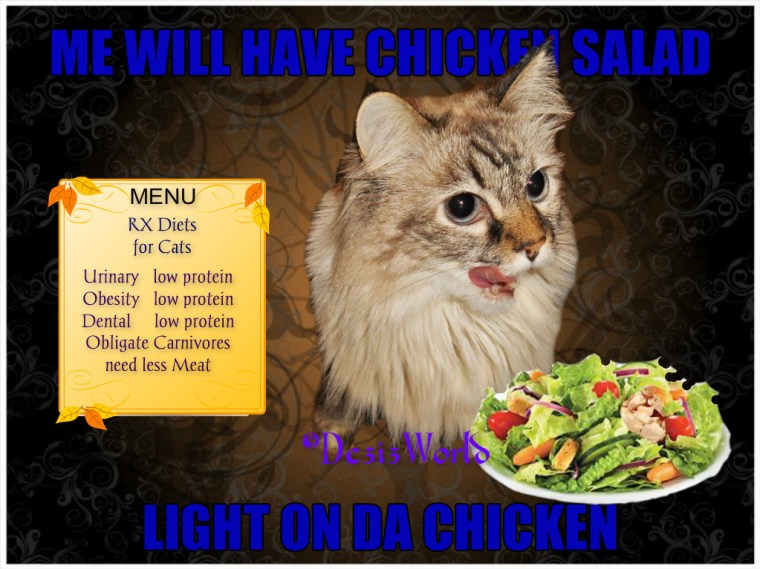 dw-Dezilowproteinmeme