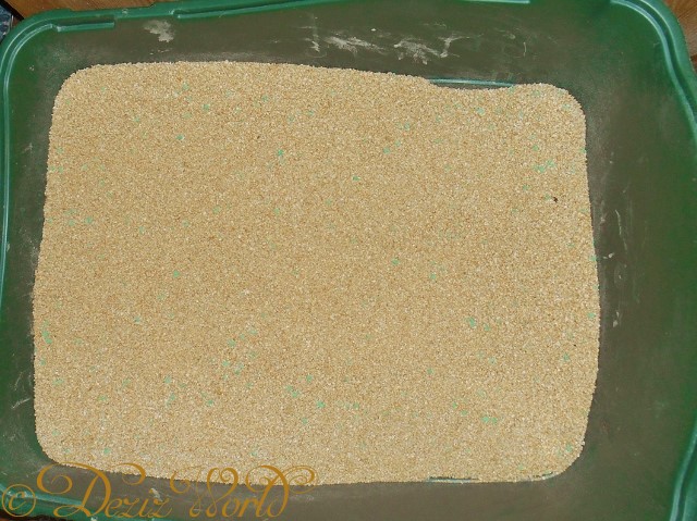 Litter box with Simple Solution and Swheatscoop