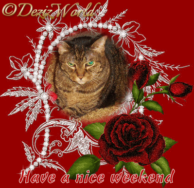 dw-Lexi Have a nice weekend - 2HEoW-1gm - normal