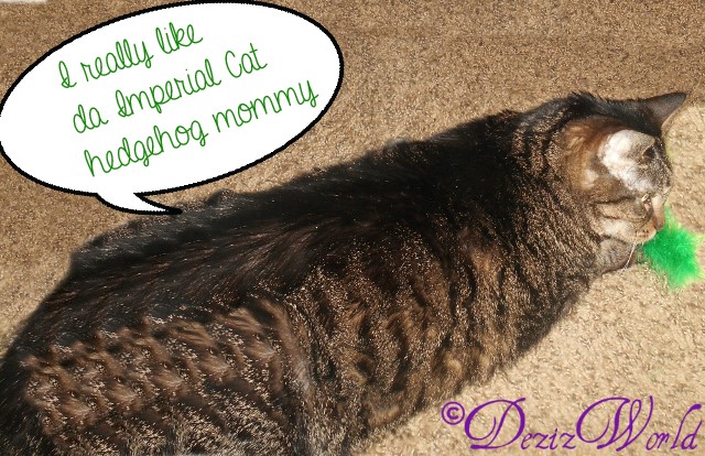 dw-Lexilikeshedgehog5