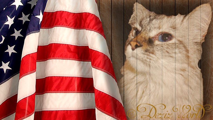 Dezi and American Flag