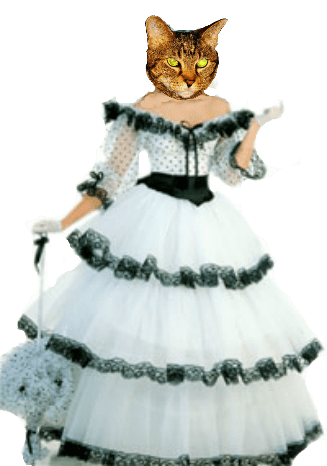 Lexi in white ball gown with black accents