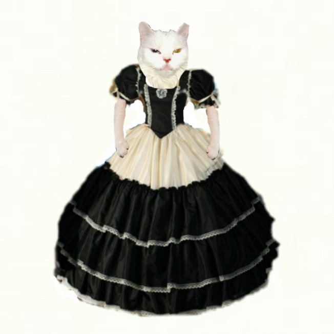 Snowball in ball gown