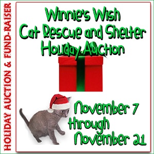 Winnie's Wish auction image