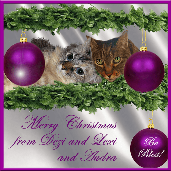 Dezi and Lexi's purple Christmas card
