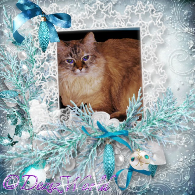 Dezi in turquoise frosty frame