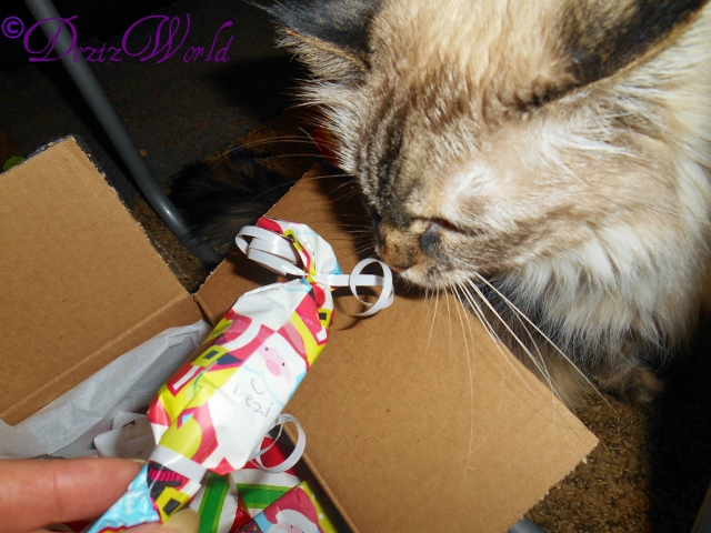 Dezi up close with a gift from Gracie and Anya