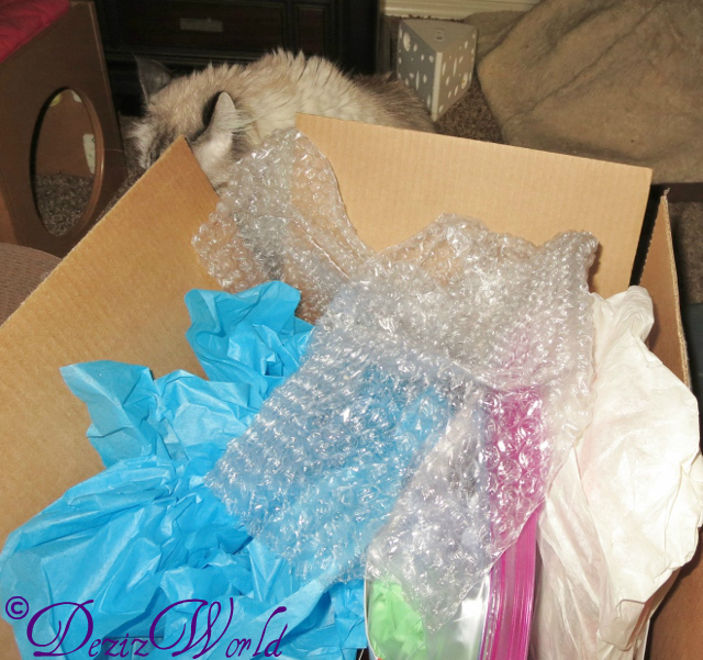 Dezi tries to sneak a peak in box from Cat and awnty Lisa