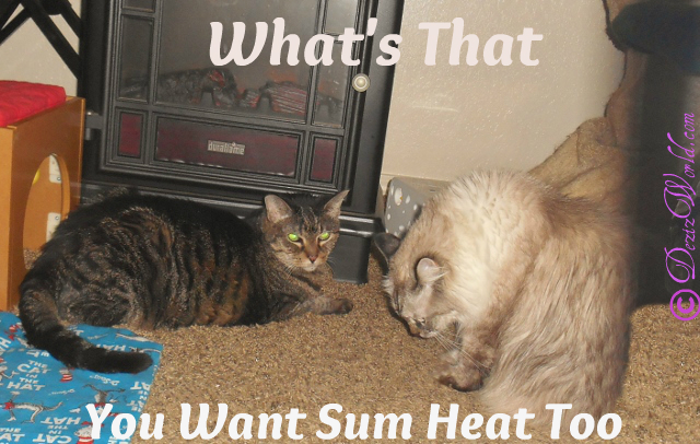#Meme, #Lexi in front of electric fireplace with Dezi trying to push in