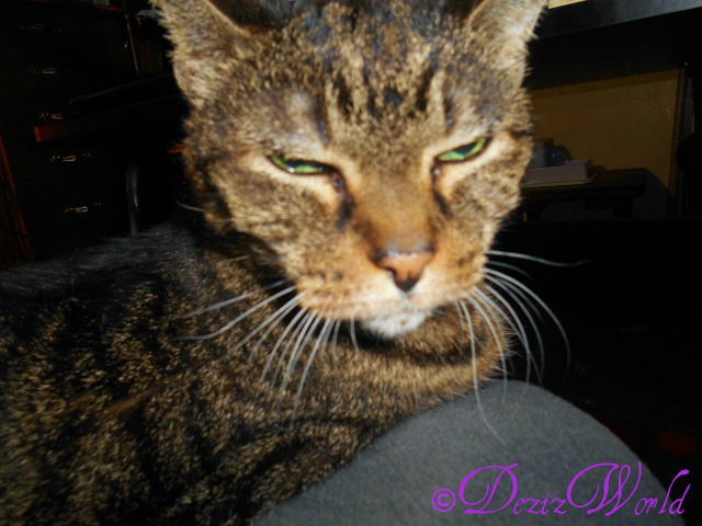 Lexi squints her eyes while taking a selfie in mommy's lap