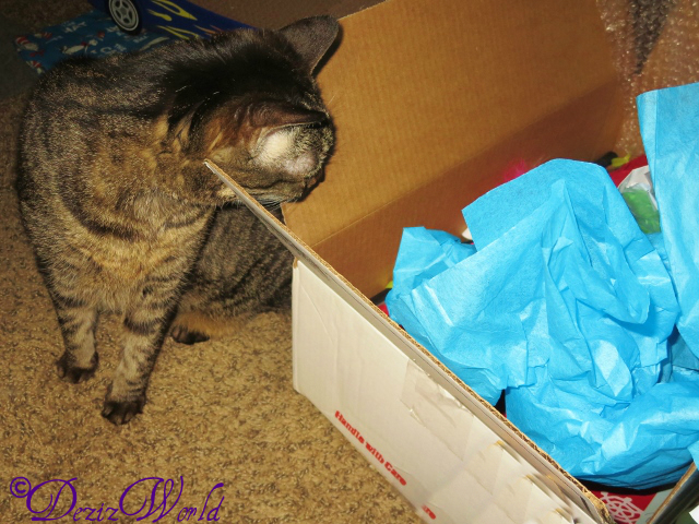 Lexi tries to sneak a peak in box from Cat and awnty Lisa