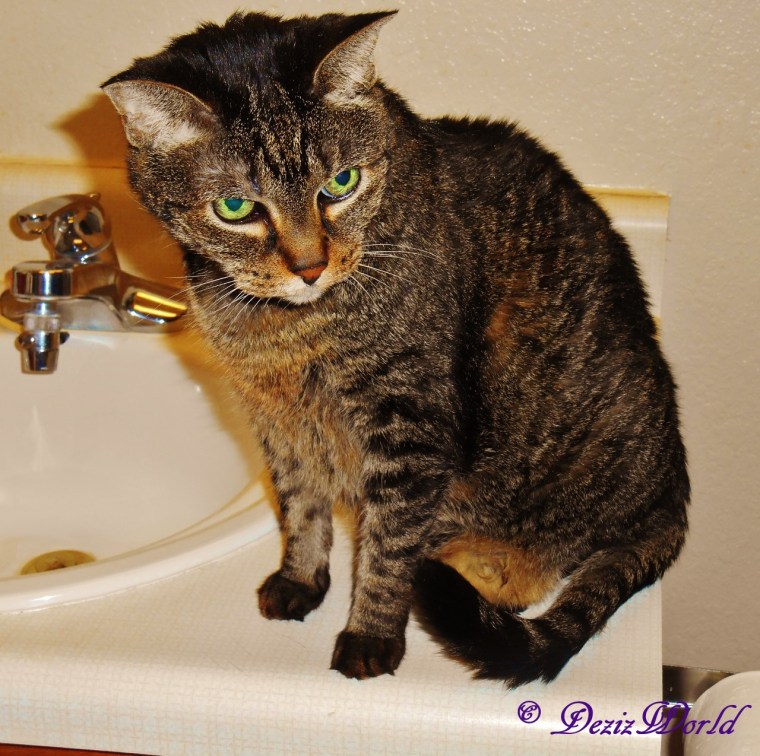 Lexi sitting on bathroom vanity